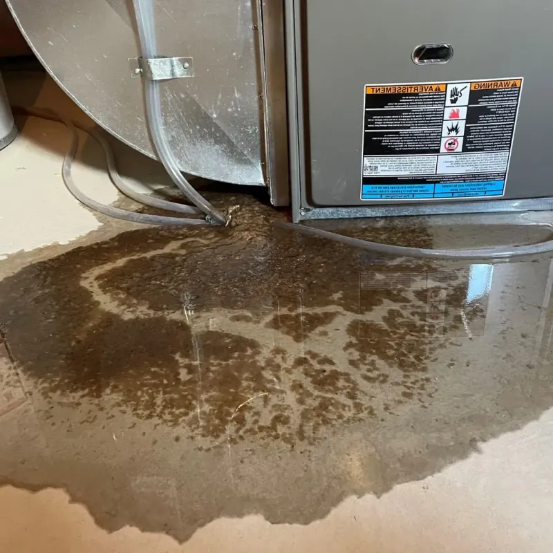 Pipe Burst and Leak Restoration in Lancaster, KY